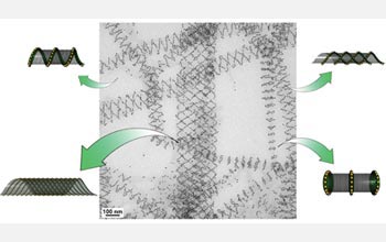 Many different nanotube conformations were observed in a single TEM image