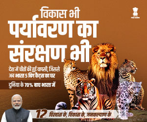 mpinfo, Madhya Pradesh