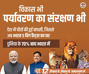 mpinfo, Madhya Pradesh