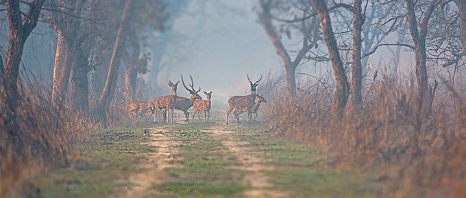 prativad news photo, top news photo, प्रतिवाद