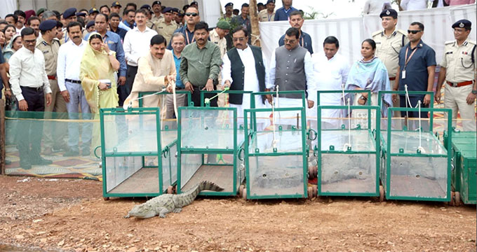 News from Bhopal, Madhya Pradesh News, Heritage, Culture, Farmers, Community News, Awareness, Charity, Climate change, Welfare, NGO, Startup, Economy, Finance, Business summit, Investments, News photo, Breaking news, Exclusive image, Latest update, Coverage, Event highlight, Politics, Election, Politician, Campaign, Government, prativad news photo, top news photo, प्रतिवाद, समाचार, हिन्दी समाचार, फोटो समाचार, फोटो