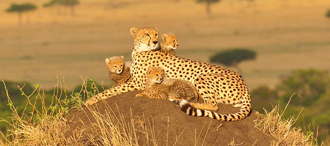 News from Bhopal, Madhya Pradesh News, Heritage, Culture, Farmers, Community News, Awareness, Charity, Climate change, Welfare, NGO, Startup, Economy, Finance, Business summit, Investments, News photo, Breaking news, Exclusive image, Latest update, Coverage, Event highlight, Politics, Election, Politician, Campaign, Government, prativad news photo, top news photo, प्रतिवाद, समाचार, हिन्दी समाचार, फोटो समाचार, फोटो