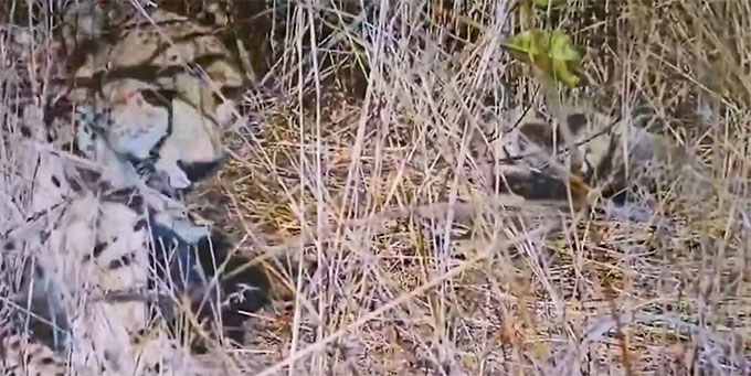 News from Bhopal, Madhya Pradesh News, Heritage, Culture, Farmers, Community News, Awareness, Charity, Climate change, Welfare, NGO, Startup, Economy, Finance, Business summit, Investments, News photo, Breaking news, Exclusive image, Latest update, Coverage, Event highlight, Politics, Election, Politician, Campaign, Government, prativad news photo, top news photo, प्रतिवाद, समाचार, हिन्दी समाचार, फोटो समाचार, फोटो