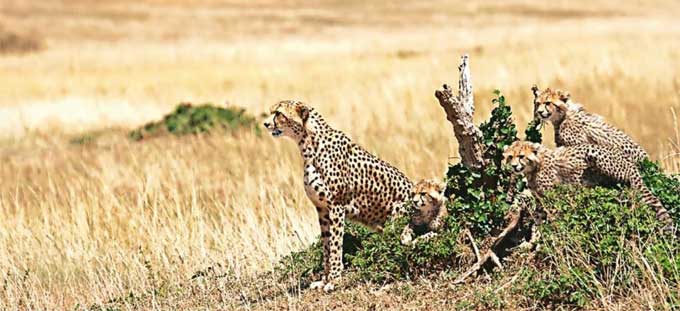 News from Bhopal, Madhya Pradesh News, Heritage, Culture, Farmers, Community News, Awareness, Charity, Climate change, Welfare, NGO, Startup, Economy, Finance, Business summit, Investments, News photo, Breaking news, Exclusive image, Latest update, Coverage, Event highlight, Politics, Election, Politician, Campaign, Government, prativad news photo, top news photo, प्रतिवाद, समाचार, हिन्दी समाचार, फोटो समाचार, फोटो